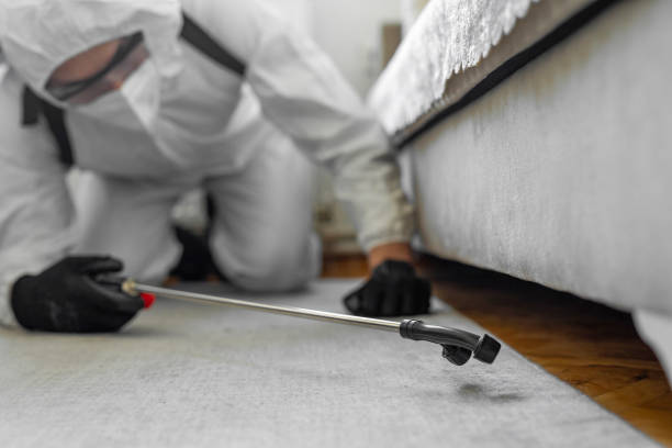 Professional Bed Bug Control technician working in North Branch, MI