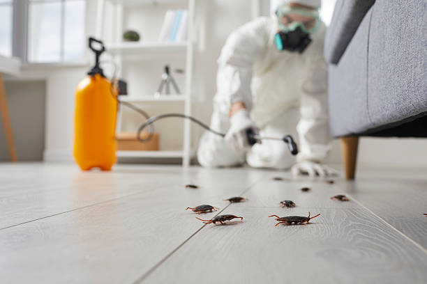 Trusted Cockroach Control service in North Branch, MI - Nex Pest Control